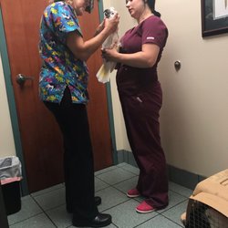 Animal Care Center of Mobile - Cockatoo during having his beak checked