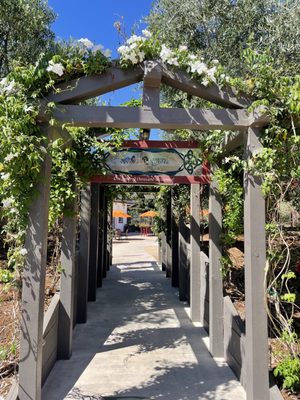 Roche Winery & Vineyards by null