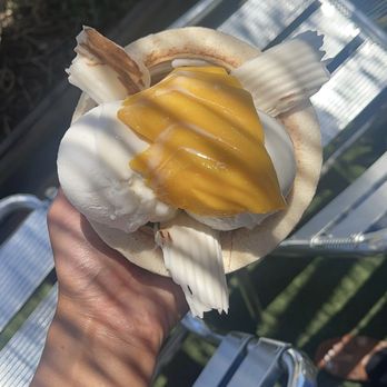 Coco Bomb - Coconut Sundae - Cafes Near Me - San Diego, California