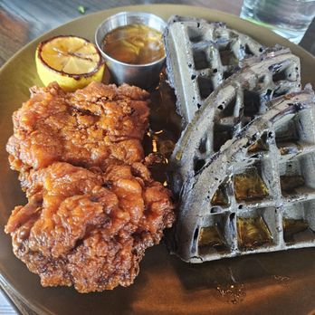 ROTH SOCIALHOUSE - Updated January 2025 - 351 Photos & 263 Reviews ...