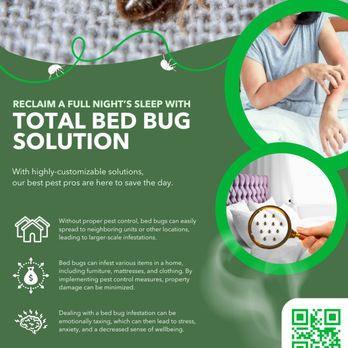 Total Maintenance Service - Total Bed Bug Solution Program - Pest Control Near Me Total Maintenance Service - Total Bed Bug Solution Program - Pest Control Near Me