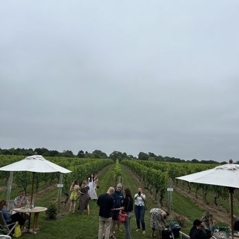 Wolffer Estate Vineyard - Outside - Wineries Near Me - Sagaponack, New York