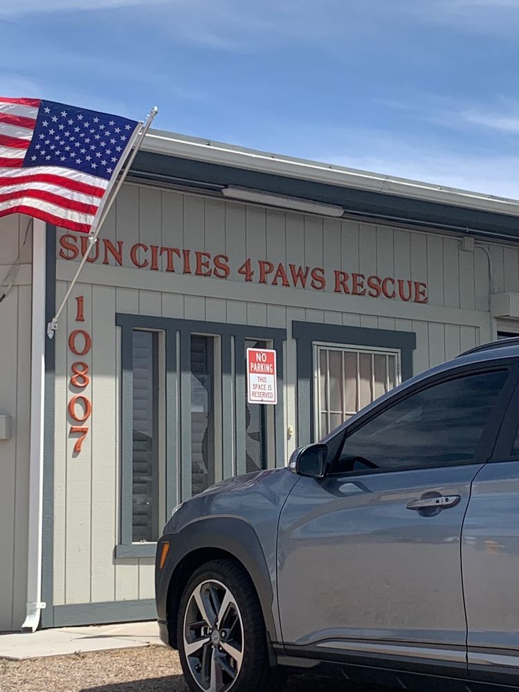 SUN CITIES 4 PAWS RESCUE - Updated August 2024 - 20 Photos & 12 Reviews