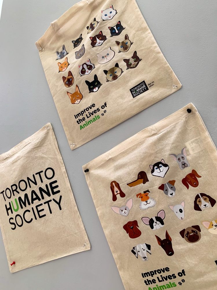 Toronto Humane Society Image