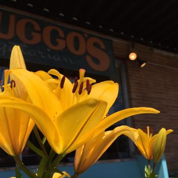 Sluggo's Vegetarian Cafe - Exterior decor - Vegetarian Near Me - Chattanooga, Tennessee Sluggo's Vegetarian Cafe - Exterior decor - Vegetarian Near Me - Chattanooga, Tennessee