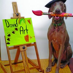 David Art Center