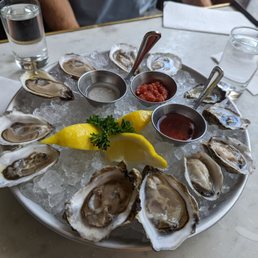Oysters