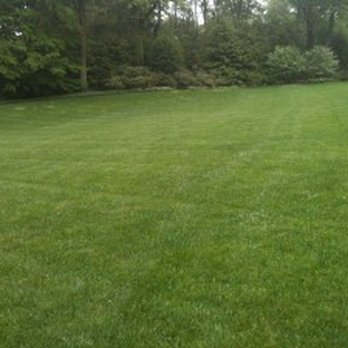 Delaware Valley Turf - a green lawn with trees in the background - Pest Control Near Me - Broomall, Pennsylvania