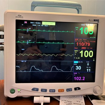 Bennett Road Animal Clinic - New surgery monitor - Veterinarians Near Me - Okemos, Michigan Bennett Road Animal Clinic - New surgery monitor - Veterinarians Near Me - Okemos, Michigan