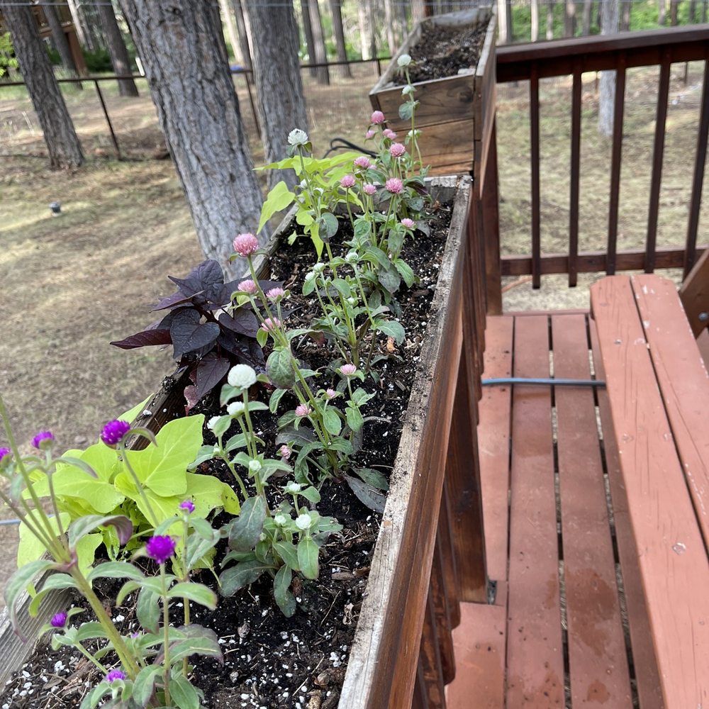 Plant Fair Nursery - Floral for the rail boxes. - Nurseries & Gardening Near Me - Star Valley, Arizona Plant Fair Nursery - Floral for the rail boxes. - Nurseries & Gardening Near Me - Star Valley, Arizona