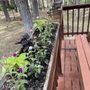 Photo of Plant Fair Nursery