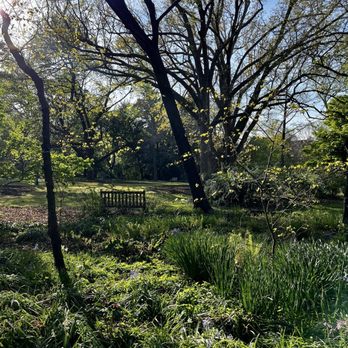 Coker Arboretum - Botanical Gardens Near Me - Chapel Hill, North Carolina