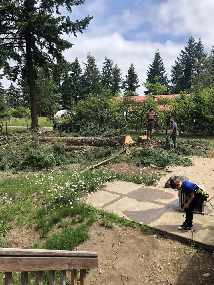 Slide of Shepherd's Tree Service and Excavation