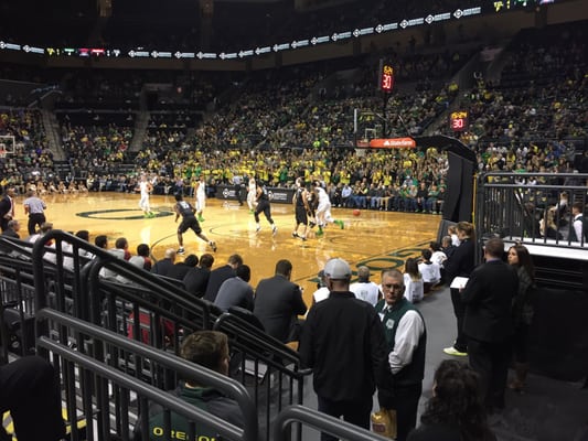 Matthew Knight Arena by null
