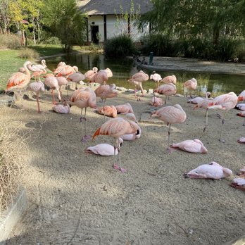 Memphis Zoo - Zoos Near Me - Memphis, Tennessee