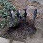 Photo of MGN Landscaping & Sprinkler Repair