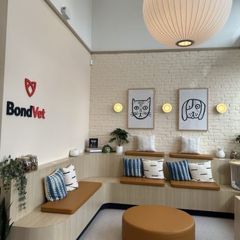 Bond Vet - Somerville - Waiting area - Veterinarians Near Me - Somerville, Massachusetts Bond Vet - Somerville - Waiting area - Veterinarians Near Me - Somerville, Massachusetts