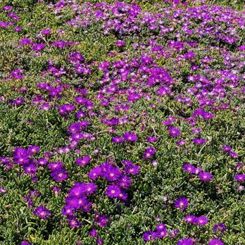 Lovers Point Park - Parks Near Me - Pacific Grove, California