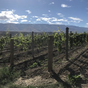 The Cloudy Bay Shed - Wine Tasting Room Near Me - cromwell, OTA