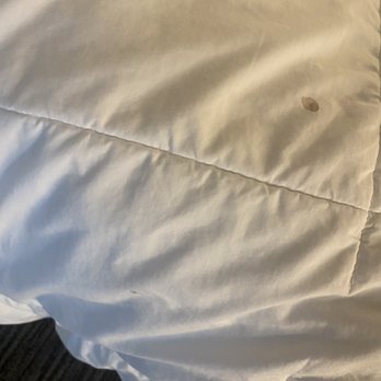 Sheraton Milwaukee Brookfield Hotel - Blood stains on our comforter - Hotels Near Me - Brookfield, Wisconsin Sheraton Milwaukee Brookfield Hotel - Blood stains on our comforter - Hotels Near Me - Brookfield, Wisconsin