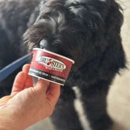Pup cup