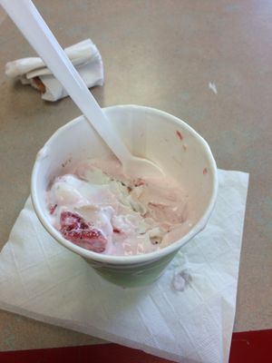 Twistee Treat by null