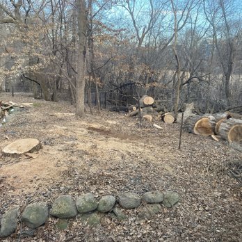 MDT Quality Tree services - All debris on exterior of our fence so we can let it season and be split into firewood this summer. - Landscaping Near Me - Mounds view, Minnesota