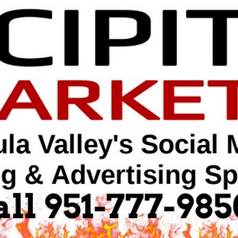 Accipiter Marketing - Accipiter Marketing contact info - Marketing Near Me