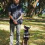 Photo of Pack Dynamics K9 Training
