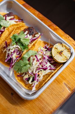 The Waterfront Venice by null