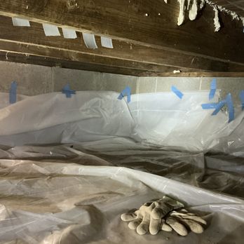 Singleton Pest Solution - Crawl Space Vapor Barrier, Spray Foam & Black Mold Removal! - Pest Control Near Me Singleton Pest Solution - Crawl Space Vapor Barrier, Spray Foam & Black Mold Removal! - Pest Control Near Me