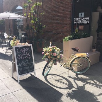 Coffee and Plants - Outside store!! - Coffee & Tea Near Me - Pasadena, California