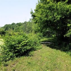 J I Case Wetlands - Trail around the ponds