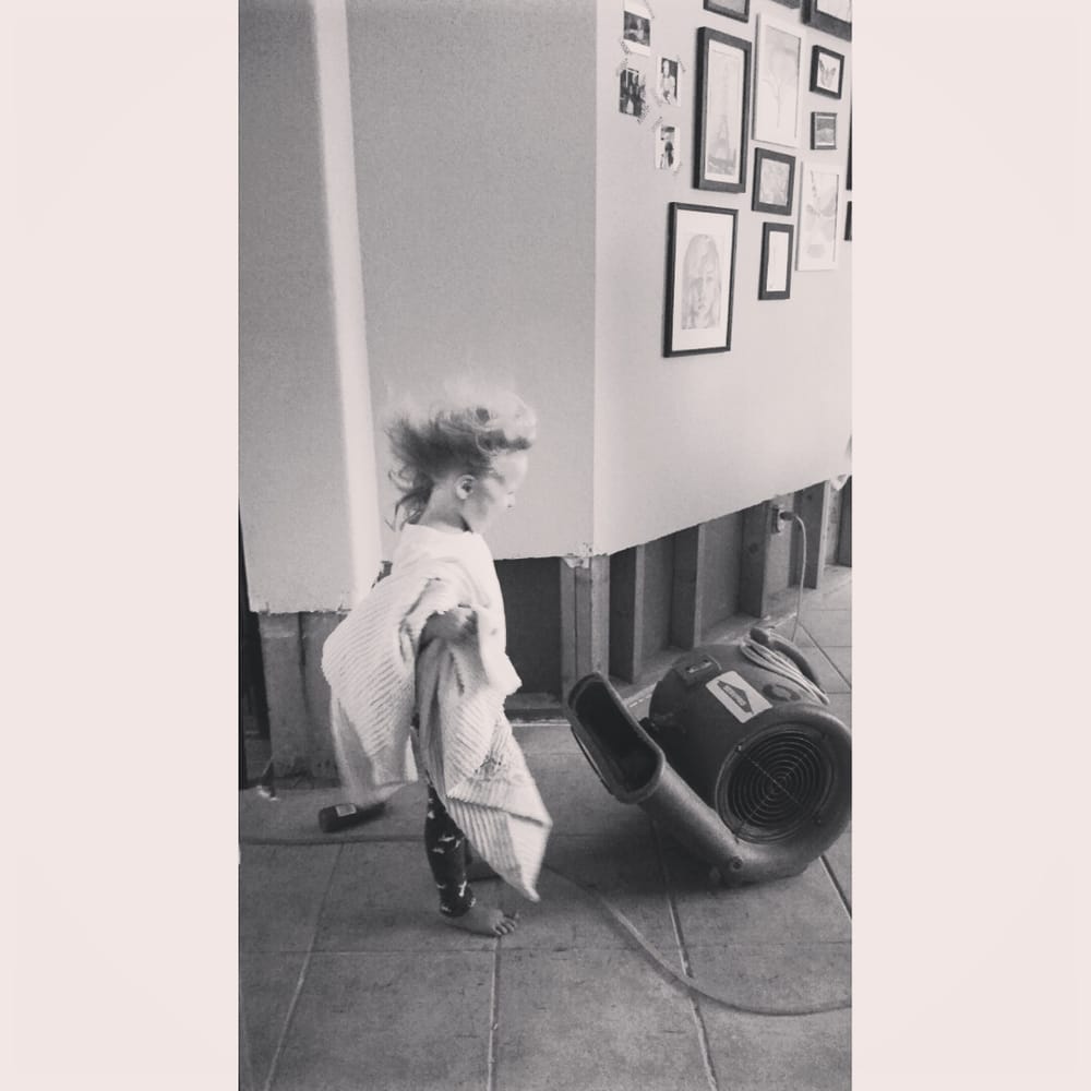 SERVPRO of North Austin/SW Williamson County - veterans service organization in Leander, TX