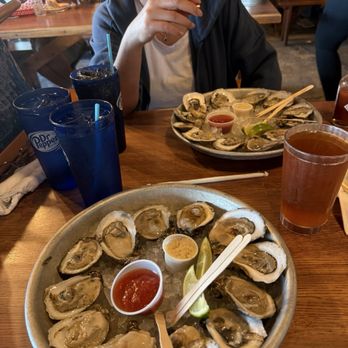 Half Shell Raw Bar - Fresh oysters - Seafood Near Me - Key West, Florida Half Shell Raw Bar - Fresh oysters - Seafood Near Me - Key West, Florida