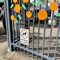 Orange Grove Organic Food Markets