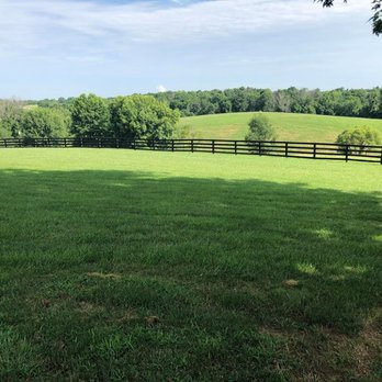 Meadowview Estate - Tons of outside green space with Horses on the hillside - Venues & Event Spaces Near Me - Union, Kentucky Meadowview Estate - Tons of outside green space with Horses on the hillside - Venues & Event Spaces Near Me - Union, Kentucky