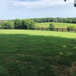 Meadowview Estate - Tons of outside green space with Horses on the hillside