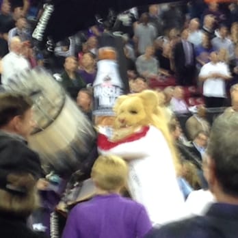 Sacramento Kings - Professional Sports Teams Near Me - Sacramento, California Sacramento Kings - Professional Sports Teams Near Me - Sacramento, California