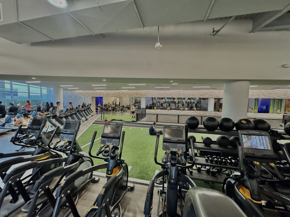 GOLD’S GYM Updated August 2024 173 Photos & 126 Reviews 12367