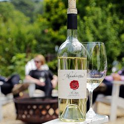 WeWine Napa - Handwritten Wines Tour