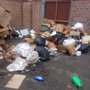 Photo of Junkyard Haul