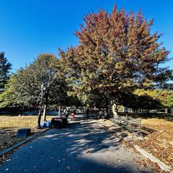 Maria Hernandez Park - Autumn 2024!