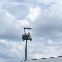 Ozark Golf Cars & Utility Vehicles - Just follow the golf cart on the pole which is visible from the Highway.
