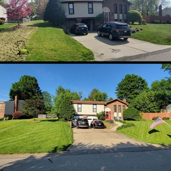 TeamTurf - Before on the top and After Team Turf on the bottom. - Tree Services Near Me - Moon Township, Pennsylvania TeamTurf - Before on the top and After Team Turf on the bottom. - Tree Services Near Me - Moon Township, Pennsylvania