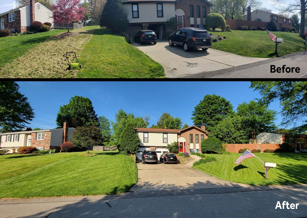 TeamTurf - tree service in Moon Township, PA
