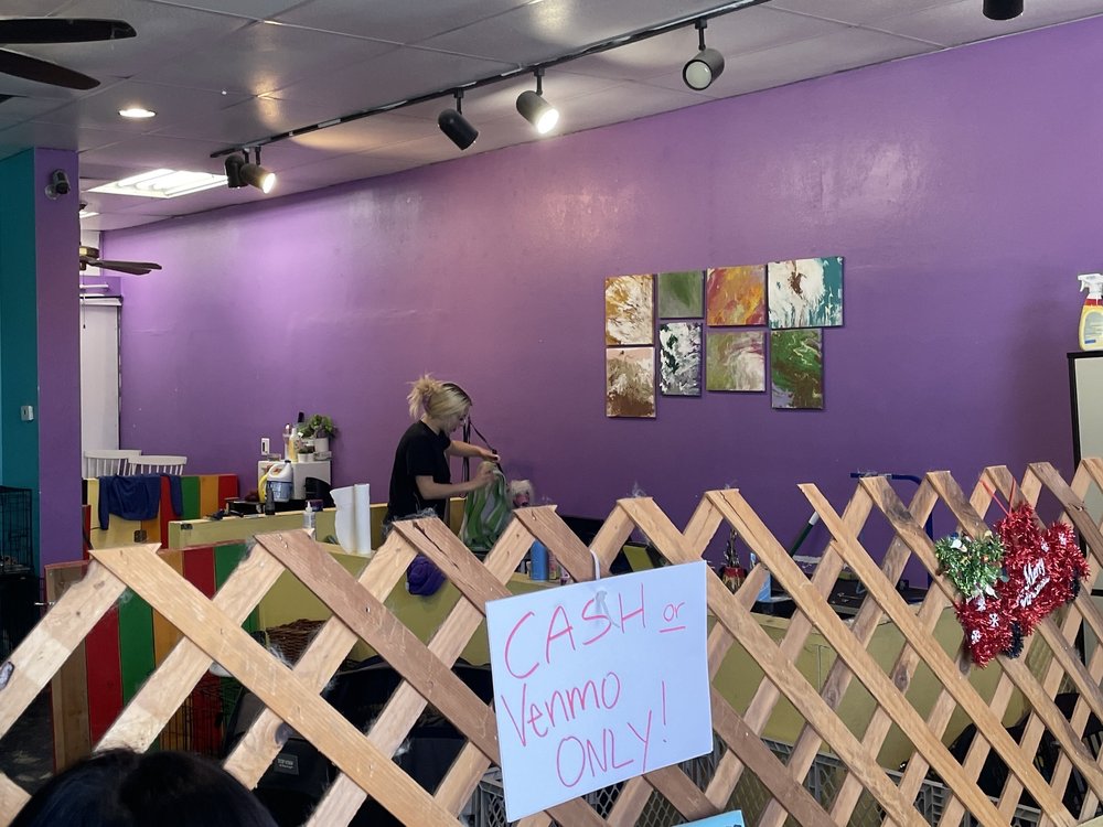 POOCH BAR DOG GROOMING Updated September 2024 74 Photos & 21