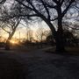 Photo of Wilson Park
