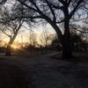 Wilson Park gift card