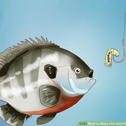 Rick's Bait Shack